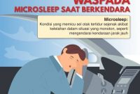 Waspada gejala microsleep, salah satu penyebab kecelakaan. (Photo Dirjen Perhubungan Darat)