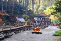 Suasana alami dengan udara segar di tengah hutan Pinus. (Poto: Dokpri Ahmad Sofwan) 