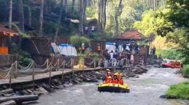 Suasana alami dengan udara segar di tengah hutan Pinus. (Poto: Dokpri Ahmad Sofwan) 