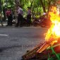 Papan nama anggota DPRD Wajo dibakar peserta aksi demo.