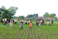 Gerdal WBC kolaborasi BPP Indihiang, POPT, Perhiptani dan Unsur Muspika 