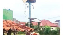 Light Trap Insect dinilai efektif menanggulangi hama wereng 