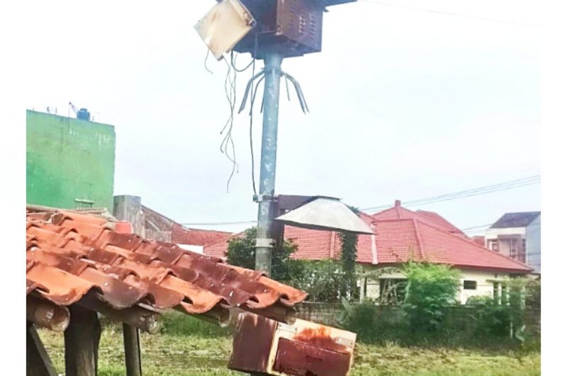 Light Trap Insect dinilai efektif menanggulangi hama wereng 