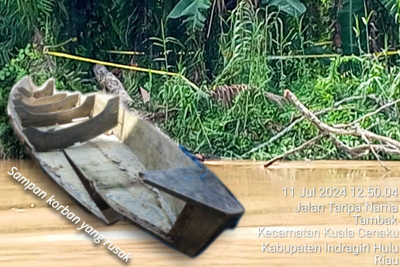Perahu sampan ditumpangi korban tertimpa pohon 
