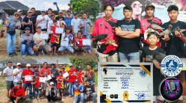 Lapak Bahtera Madya Club - Lomba Merpati Tinggian HUT RI ke 79 