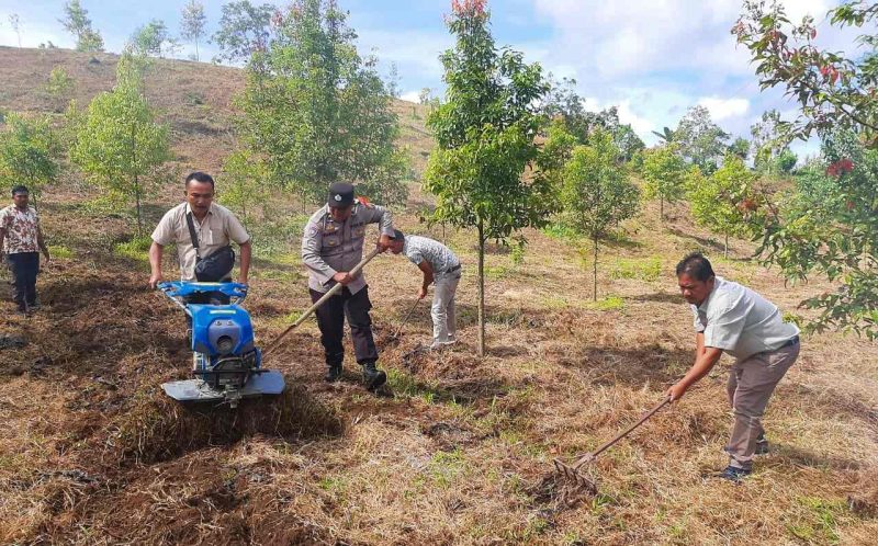 Dukung Program Presiden Prabowo Subianto Swasembada Pangan 
