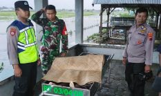 berita-pilihan-foto