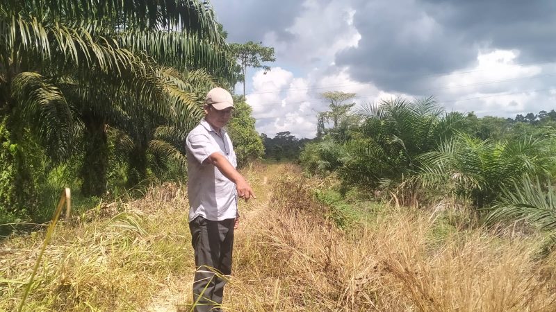 Tim investigasi MNP akan terus menelusuri perkembangan kasus ini dan menghadirkan fakta-fakta terbaru kepada publik.