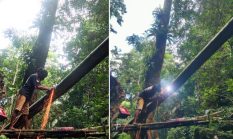 berita-pilihan-foto