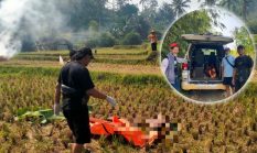 berita-pilihan-foto