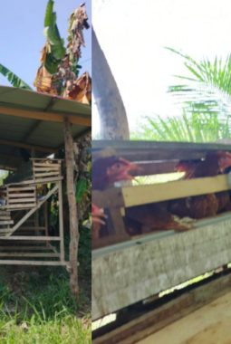 berita-rekomendasi-foto