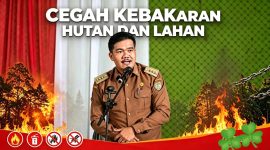 Camat Paku Paskahariadi