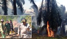 berita-pilihan-foto