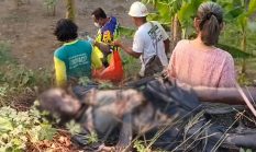 berita-pilihan-foto