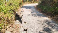 Jalan Poros dari kukku Ranga bisa di posting supaya ada perhatian pemda pak. Lokasi tikungan Lanta tiga