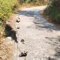 Jalan Poros dari kukku Ranga bisa di posting supaya ada perhatian pemda pak. Lokasi tikungan Lanta tiga