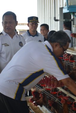 berita-rekomendasi-foto