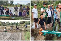 Genjot Produksi Padi Hingga 12 Ton per Hektare, BPP Indihiang Sosialisasi Inovasi PMAS dan Drum Seeder di Bungursari